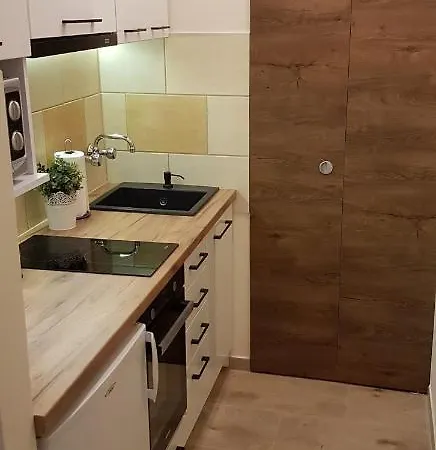 Mieszkanie Jednopokojowe, Ul Dworcowa, Centrum, Parking Gratis!!! Wroclaw