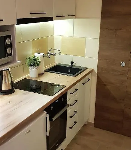 Mieszkanie Jednopokojowe, Ul Dworcowa, Centrum, Parking Gratis!!! * Wroclaw