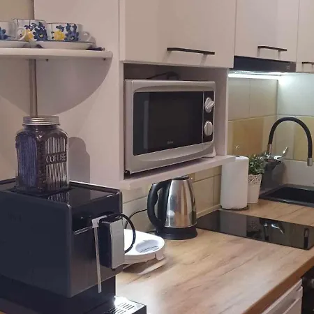 Apartment Mieszkanie Jednopokojowe, Ul Dworcowa, Centrum, Parking Gratis!!! Breslau